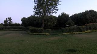 İstanbul'da korkunç olay! Yol kenarında ağaca asılı halde kadın cesedi bulundu