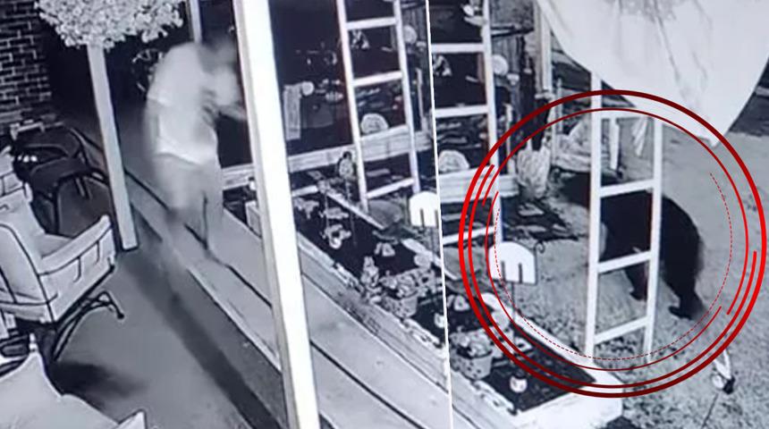Korku dolu anlar! Evine gizlice ayı girdi... Bir anda üzerine saldırıp kafasını ısırdı