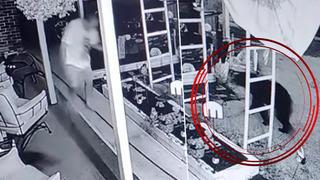 Korku dolu anlar! Evine gizlice ayı girdi... Bir anda üzerine saldırıp kafasını ısırdı