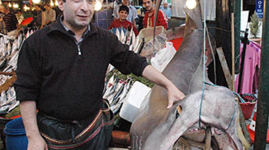 Şile'de dev k&ouml;pekbalığı yakalandı