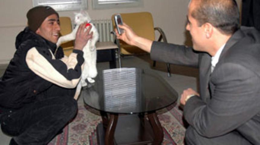 Van kedisine kimlik &ccedil;ıkarma &ccedil;abası