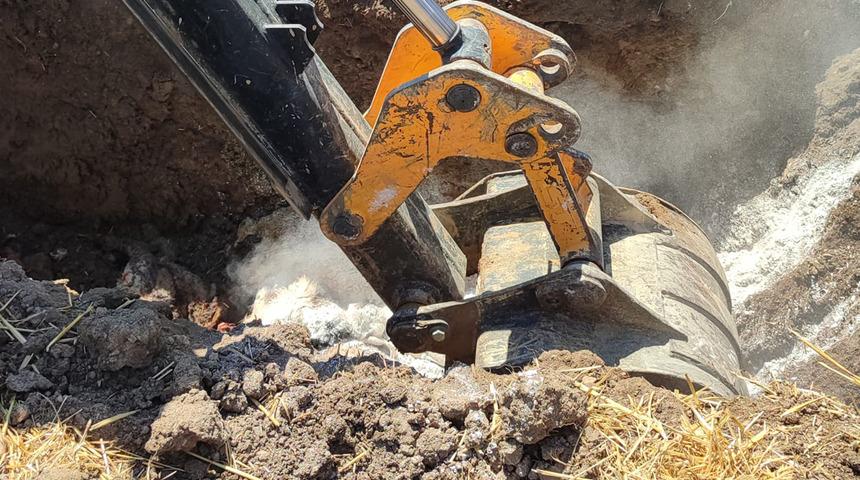 Kurtlar ağıla saldırdı! 26 küçükbaş hayvan telef odu