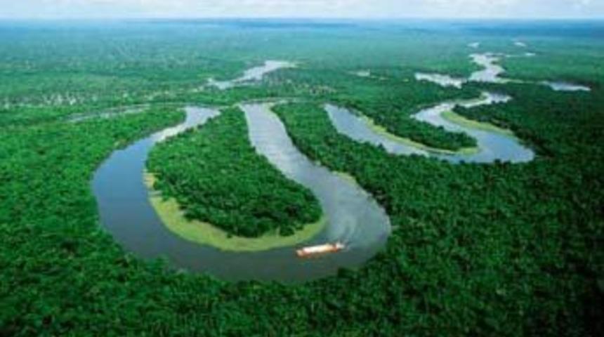 Amazon ormanlarında tahribat s&uuml;r&uuml;yor