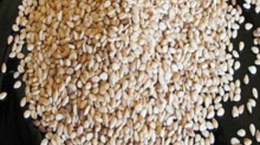 Susam Alerjiniz Var Mı?