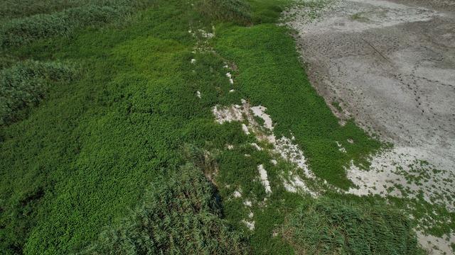 İstanbul'daki gölde suların çekilmesiyle ortaya çıktı! Balkan savaşı yıllarından kaldığı düşünülüyordu ama...