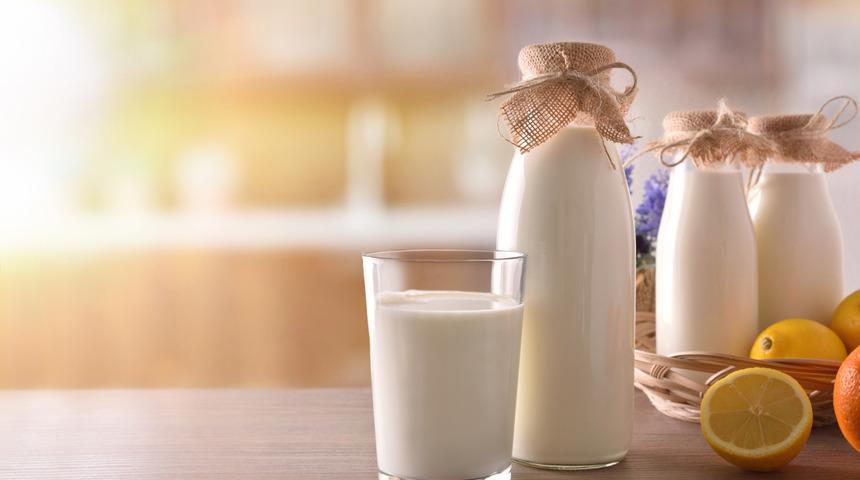 Deve sütünün faydaları nelerdir? Deve sütünde hangi vitaminler var?