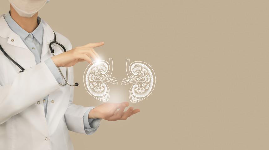 Nefroloji nedir, ne demektir? Nefroloji dotoru neye, hangi hastalıklara bakar?