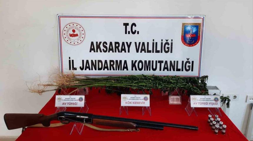 Aksaray’da kenevir yetiştiren şüpheli gözaltına alındı