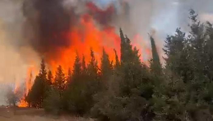 Çanakkale’de orman yangını! 7 hektar alan zarar gördü