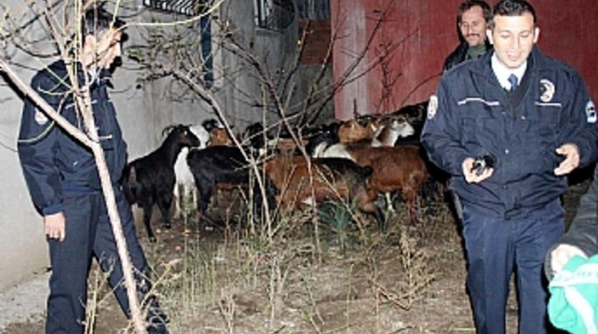 Ke&ccedil;ilerin inadını polisler kırdı