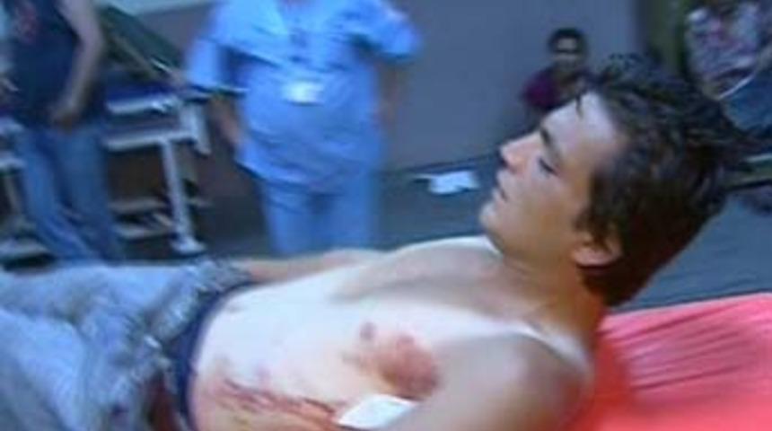 Bebek'te k&ouml;pek dehşeti