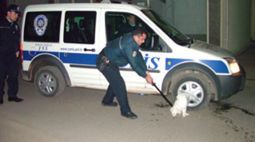 Trafiği alt &uuml;st eden kedi, polise zor anlar yaşattı
