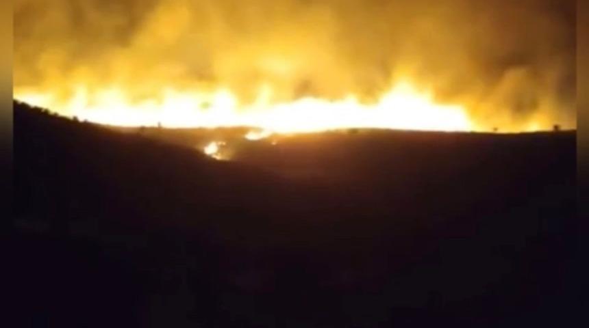 Karacadağ Bal Ormanı’nda yangın