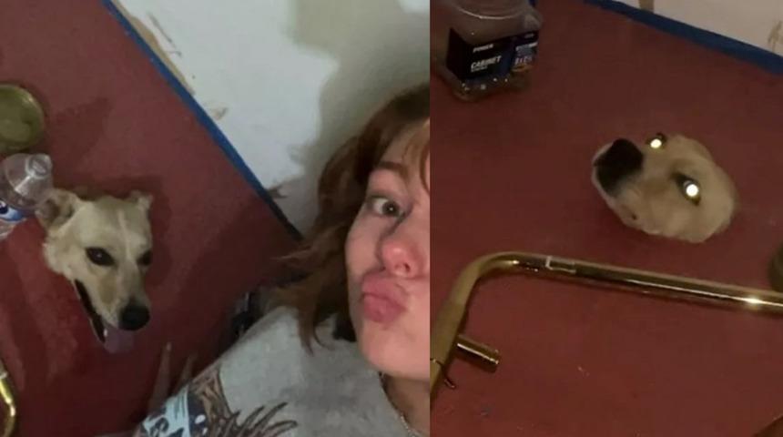 Evinde tadilat yaptığı sırada öyle bir şey gördü ki... Şaşkınlığını gizleyemedi! “Seslerin olduğu yere gittim ve...”