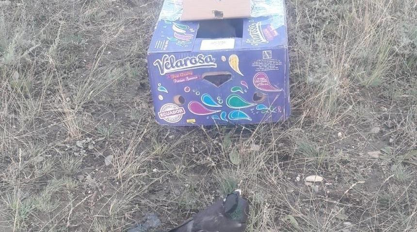 Ka&ccedil;ak avcılara ge&ccedil;it verilmedi