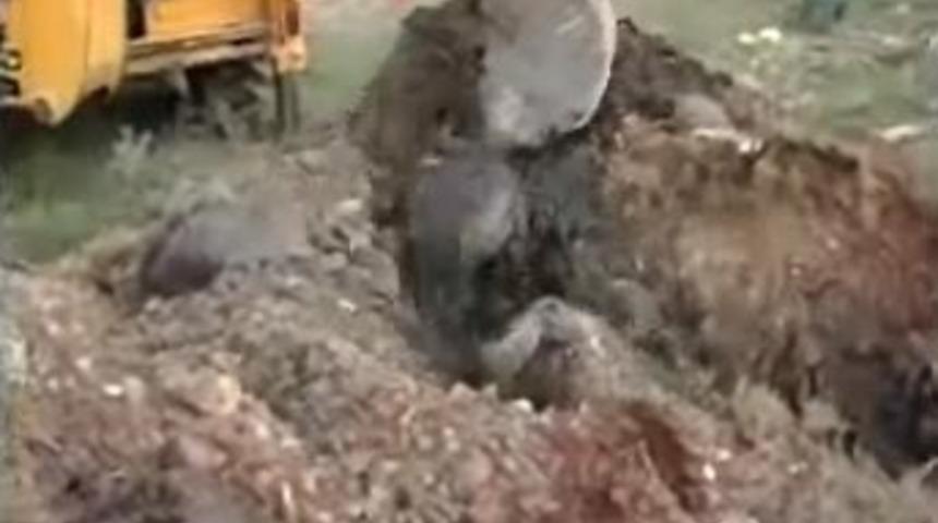 K&ouml;rfez'de atık varil alarmı
