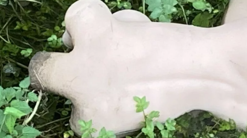 Köpeğini gezdirirken bir anda hendekte çıplak beden gördü! Ceset zannetti gerçek bambaşka çıktı