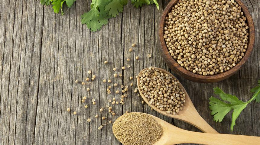 Kişniş otunun faydaları nelerdir? Kişniş otu ne işe yarar?