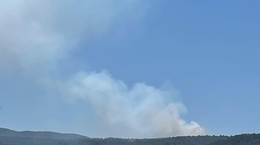 Muğla'da orman yangını! Havadan ve karadan müdahaleyle uzun mücadele sonucu söndürüldü
