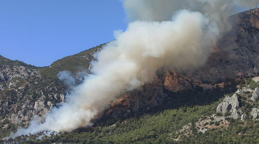 Muğla Milas'ta orman yangını! Ekipler bölgede... Zamana karşı yarış başladı
