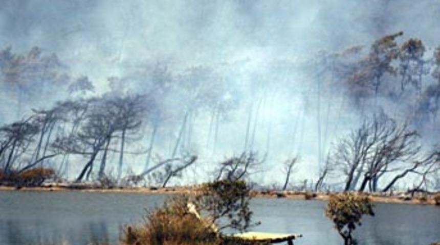 Muğla'da 1475 hektar orman alanı yandı