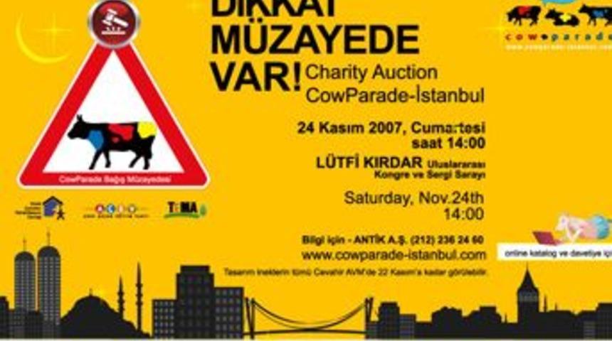 Cow Prade inekleri m&uuml;zayedeye &ccedil;ıkıyor