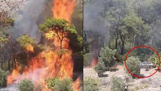 Muğla Milas'taki orman yangının çıkış anı kamerada! Sabotaj şüphesi: Arabayla uzaklaşırken kaydedildiler