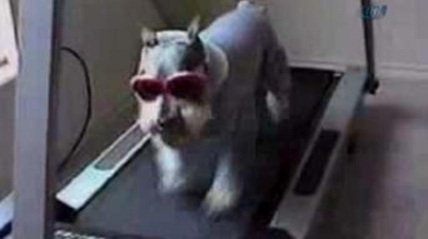 Hayatın i&ccedil;inden komik kareler