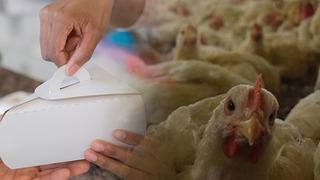 Çekirdek paketinin içinden yılan kafası çıktı bile var! 2023'ün en ilginç şikayetlerini duyan inanamıyor... Keke muska mı yaptınız?