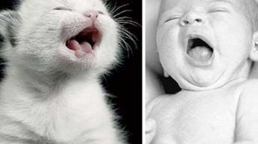 Sizce hangisi daha g&uuml;zel?