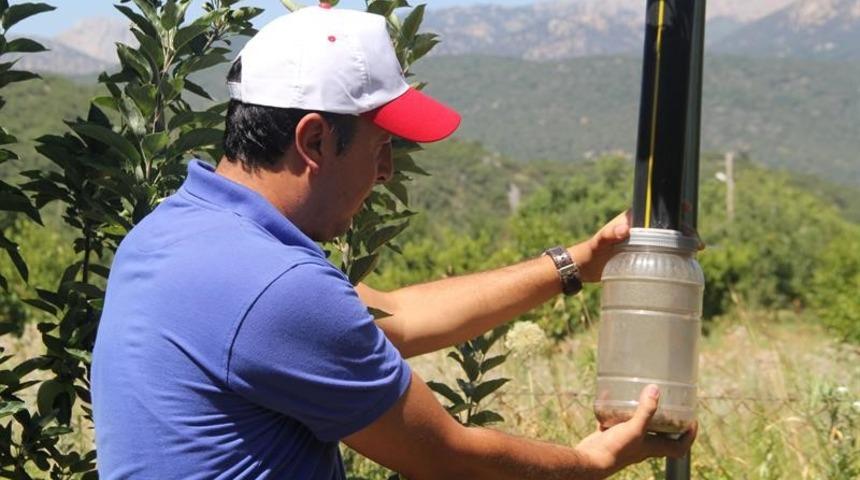 Işıklı tuzaklarla 893 adet haziran böceği ergini yakalandı