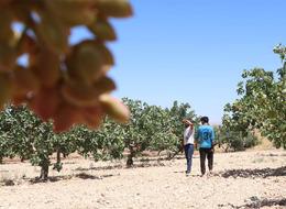 Önceden böyle bir meslek yoktu! Günlük 1000 TL'ye başında nöbet tutuyorlar 'Buna rağmen bekçi bulmakta zorlanıyoruz' 