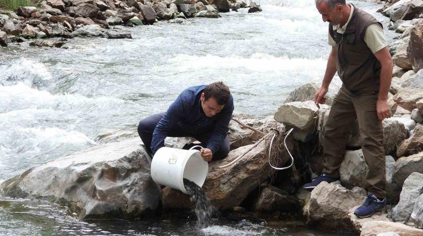Artvin’de 60 bin adet yavru alabalık derelerle buluştu