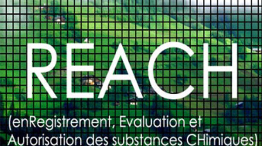 Kimya ihracat&ccedil;ısına REACH uyarısı