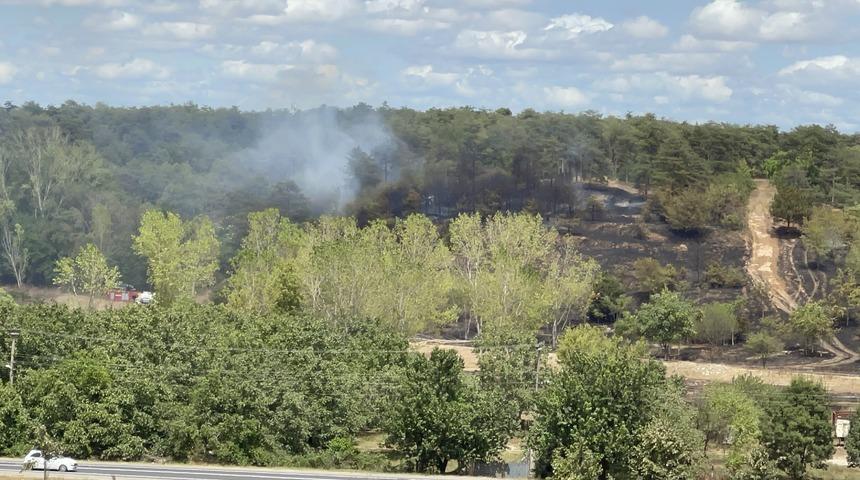 Tekirdağ'da ormanlık alanda çıkan yangın söndürüldü