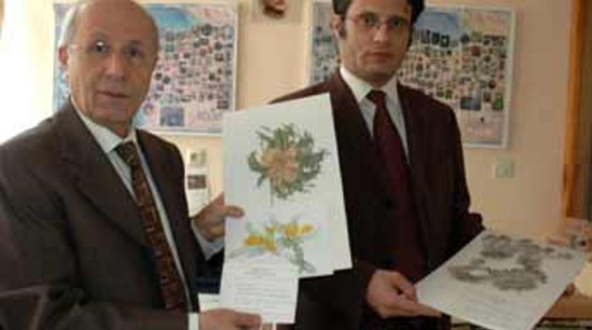 Sivas'ta 4 yeni bitki t&uuml;r&uuml; bulundu