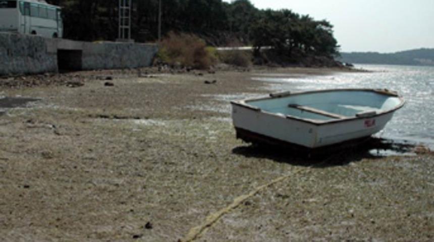 Ayvalık'ta deniz suyu &ccedil;ekildi