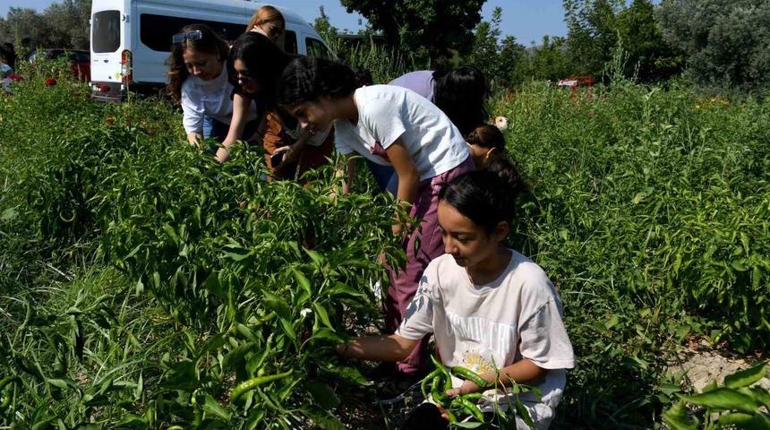 Minik eller can dostlar için Adabahçe’de hasat yaptı