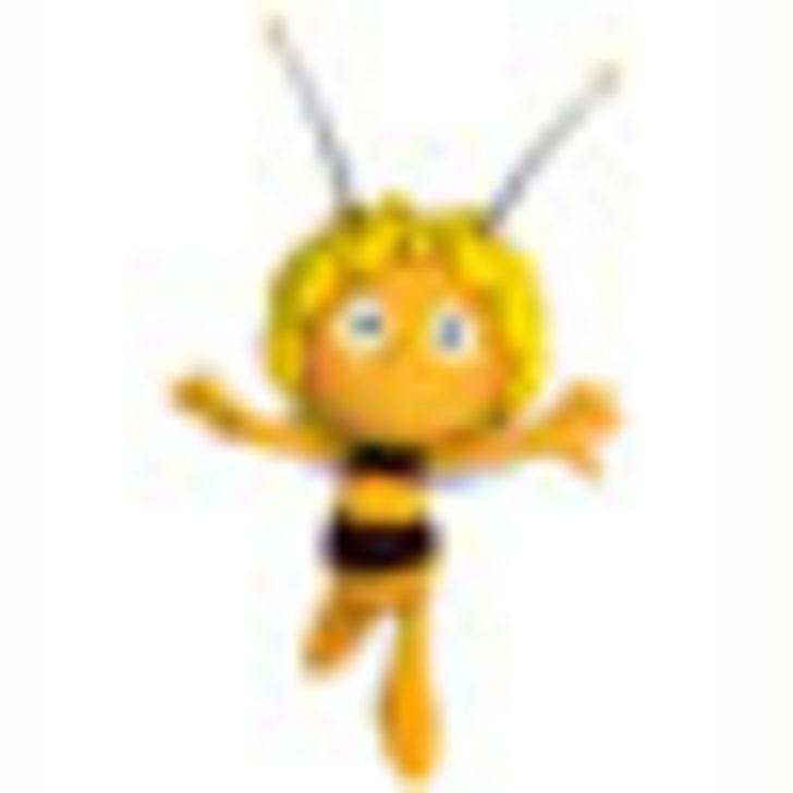 Arı Maya Geri D&ouml;nd&uuml;