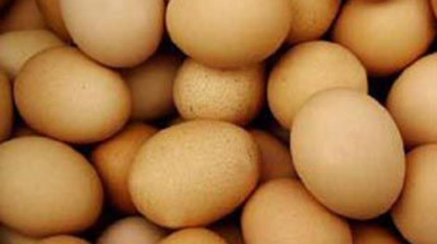 Uzmanlardan yumurta uyarısı