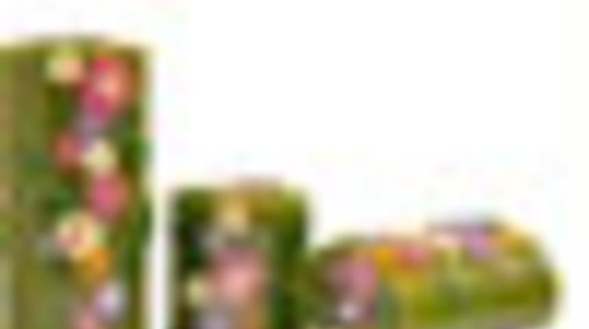 Evinizde Bahar Uyanışı