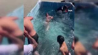 Renkli görüntüler! Aşırı sıcaklardan bunalınca böyle serinlediler