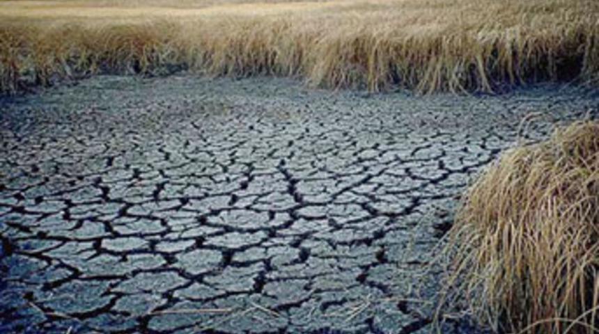 Kuraklığın 2007 maliyeti: "5 milyar YTL"