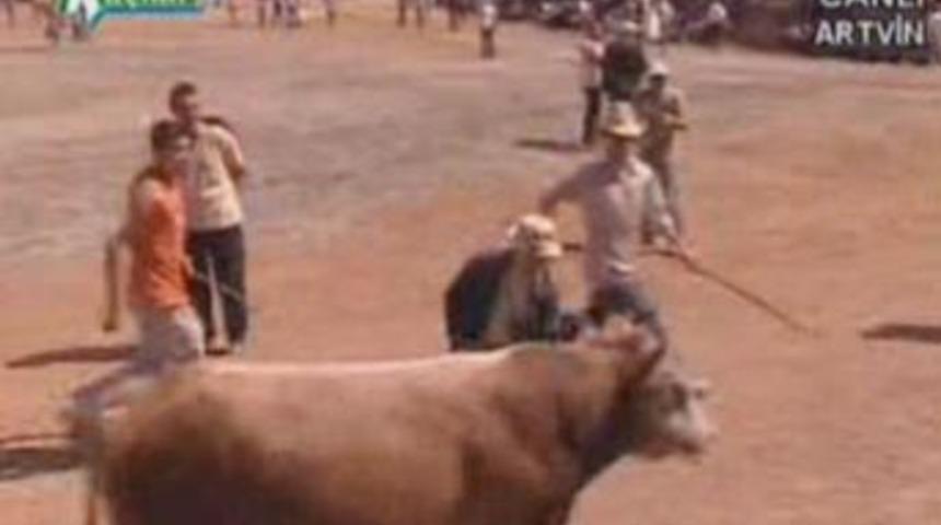 Canlı yayında kaymakama boğa s&uuml;rprizi