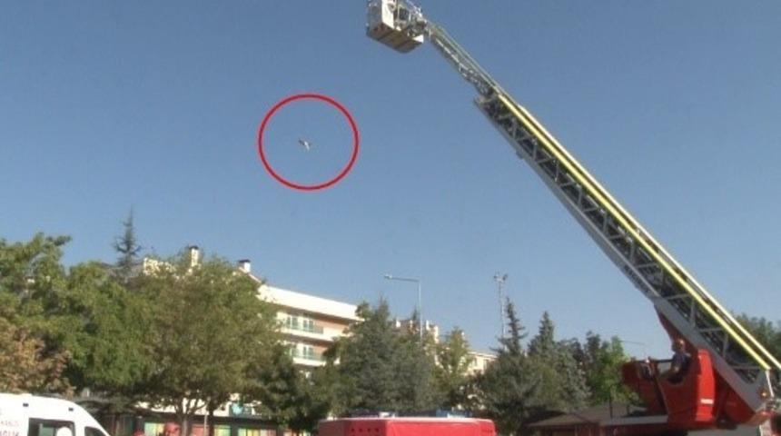 İntihara kalkışan kadın 'kedimi istiyorum' dedi! Ekipler kedisini getirince metrelerce yüksekten aşağı atarak öldürdü