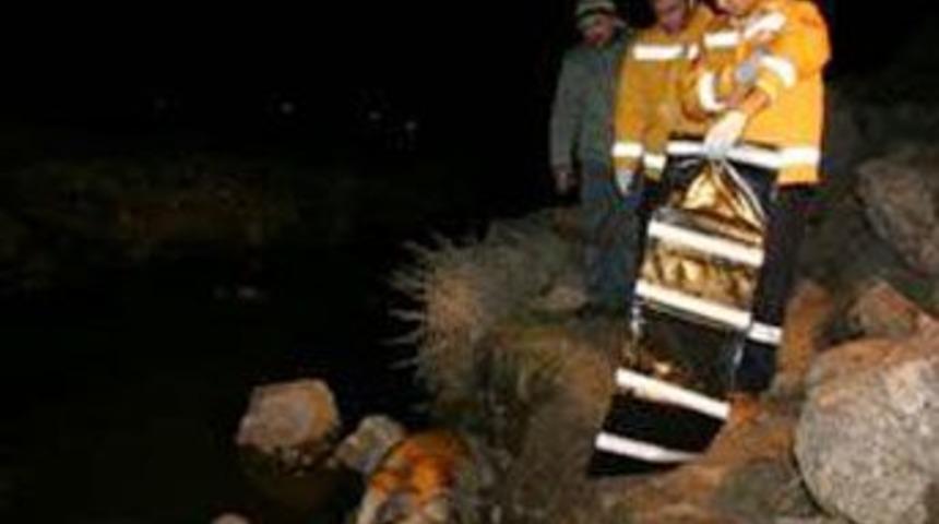 Başı kesik ceset bulundu