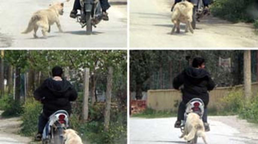 K&ouml;peğini iple motosiklete bağlayarak koşturdu