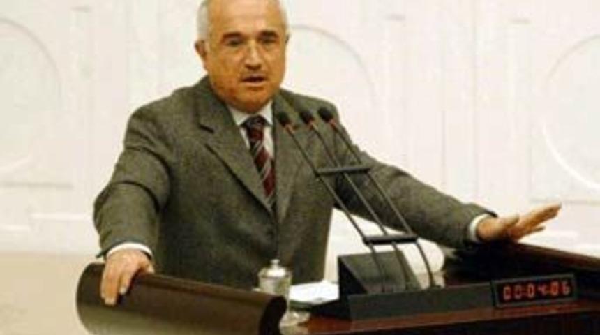 &Ccedil;i&ccedil;ek: En temel problem ana muhalefettir