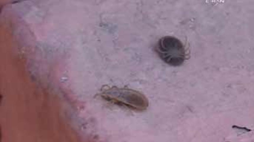 Doğu'da KKKA'dan &ouml;l&uuml;m azaldı