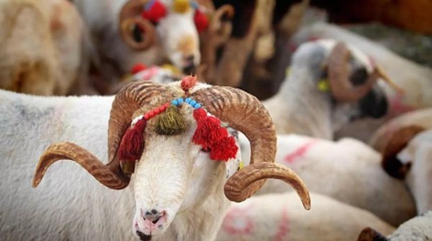 2024 Kurban Bayramı ne zaman, hangi gün? Kurban Bayramı tatili kaç gün sürecek? Diyanet dini bayram takvimi